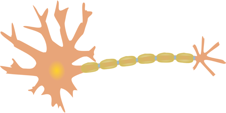 Subluxation Explained