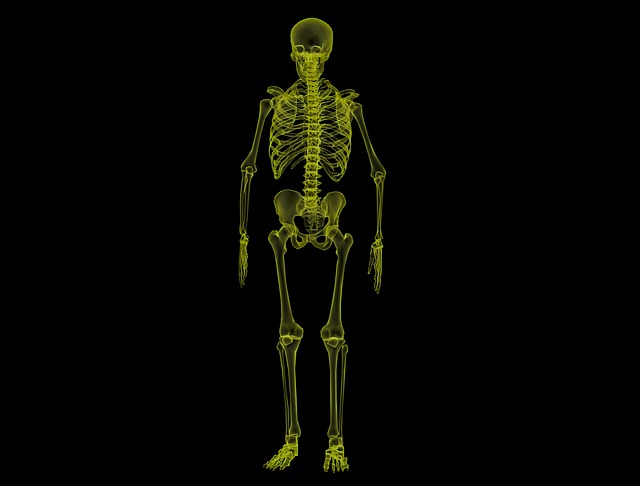 Radiculopathy: Spinal Nerves Under Pressure