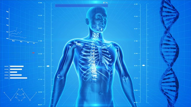 Chiropractic Care for Osteoporosis
