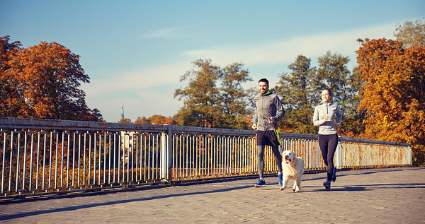 Fall Fitness & Wellness Check-In