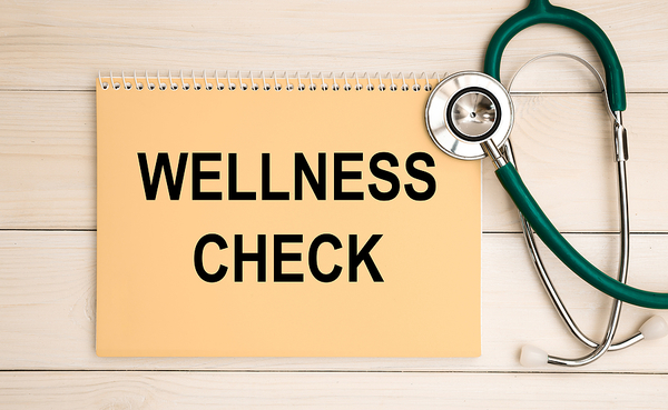 Q4 Wellness Check-in With Holmes Chiropractic
