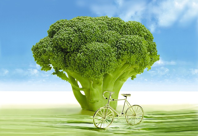 Nutrition for Herniated Discs